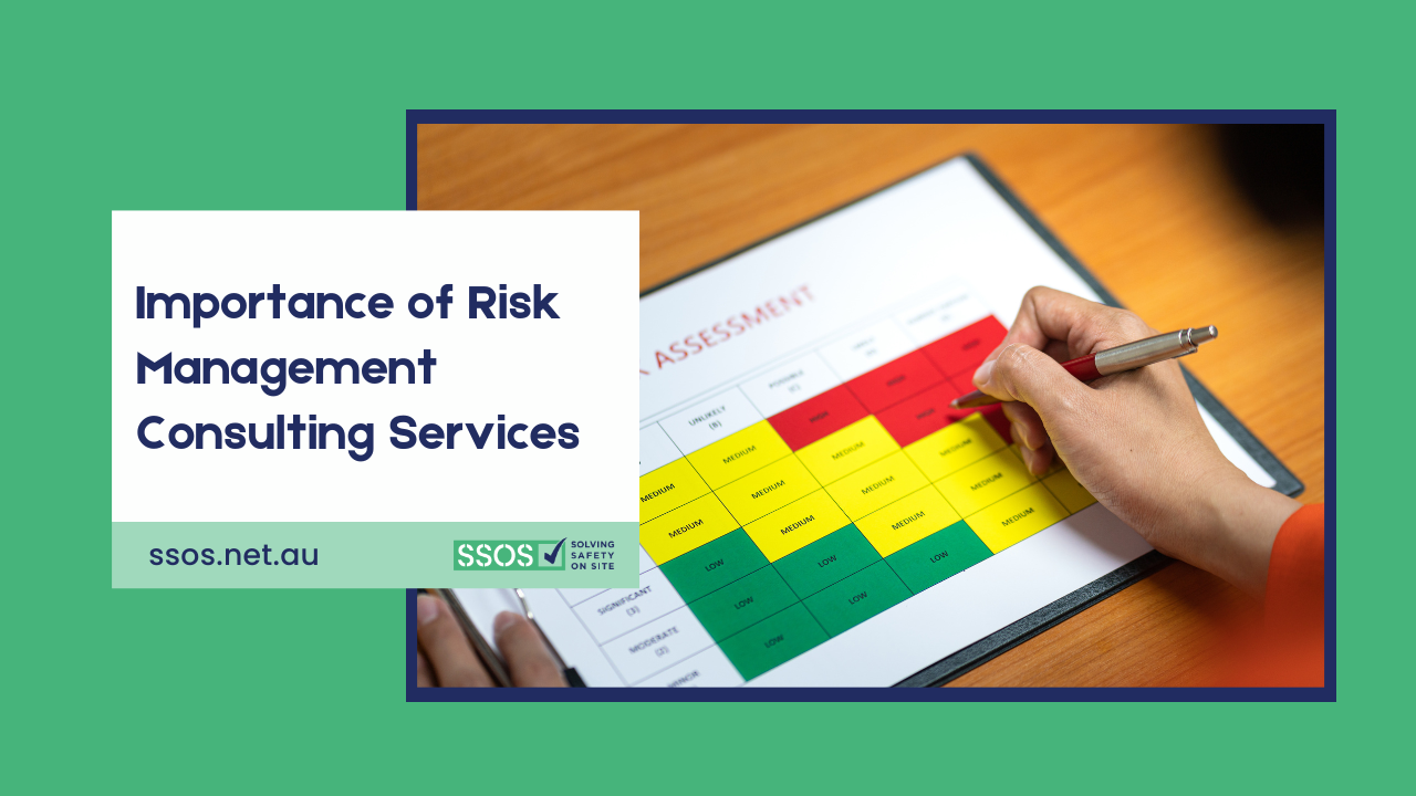 Importance of Risk Management Consulting Services
